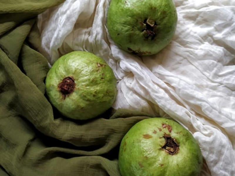 Image for Feijoa Accord