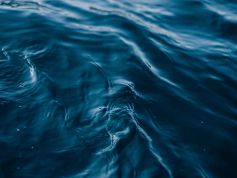 Image for Aquatic Accord