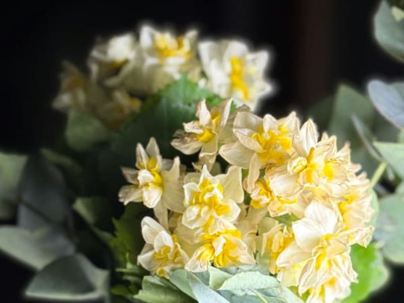 Image for Accord N° 208001 Floral Green Citrus (Firmenich)