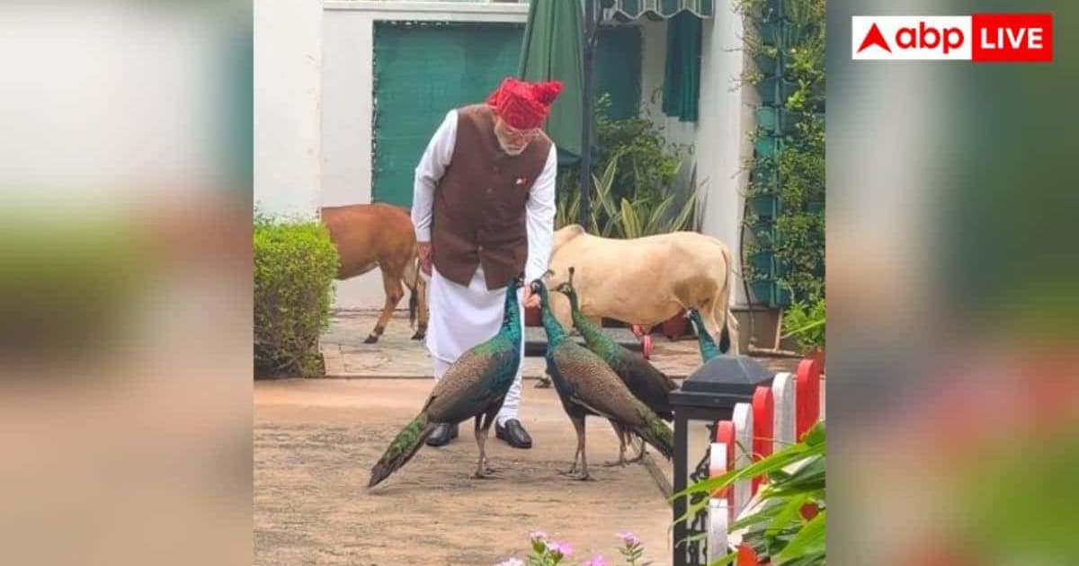 'दोस्तों को खिलाना मेरी दिनचर्या', मोर को दाना खिलाते दिखे PM मोदी