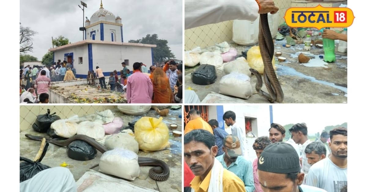 छतरपुर का अनोखा सर्प मंदिर! नागपंचमी पर उमड़ती है हजारों की भीड़, सर्पदंश से जुड़े हैं कई दावे, जानें मान्यता