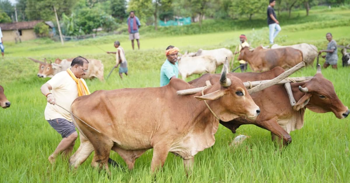 मुख्यमंत्री ने ‘‘रेशम से रोशन जशपुर योजना‘‘ का किया शुभारंभ