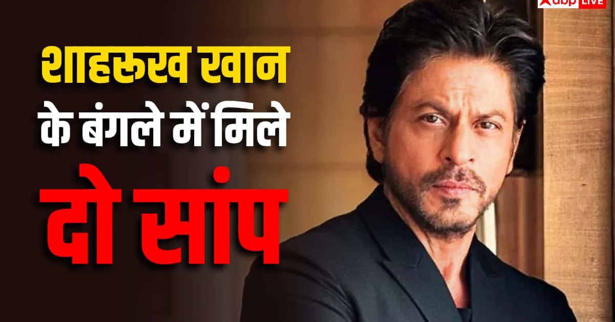 शाहरुख खान के बंगले मन्नत में मिले दो सांप, एक को किया रेस्कयू और दूसरा अभी भी लापता