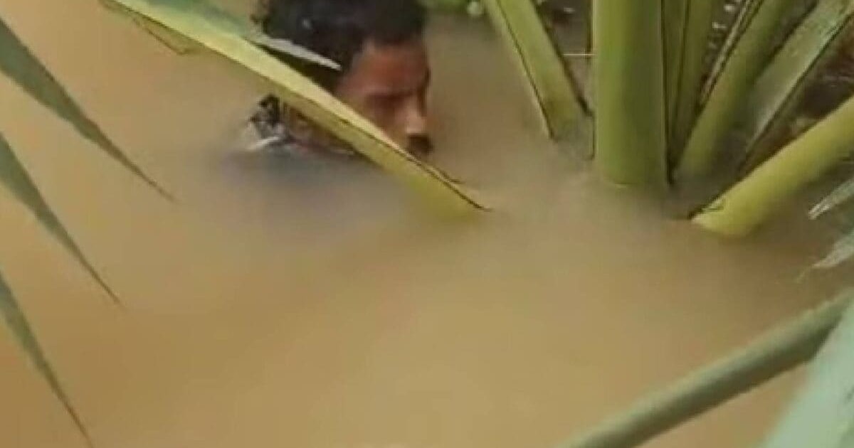 मौत को टक से छूकर आया शख्स... न सोया न खाया, 5 दिन बाढ़ में ताड़ के पेड़ से चिपका रहा सुनांदा