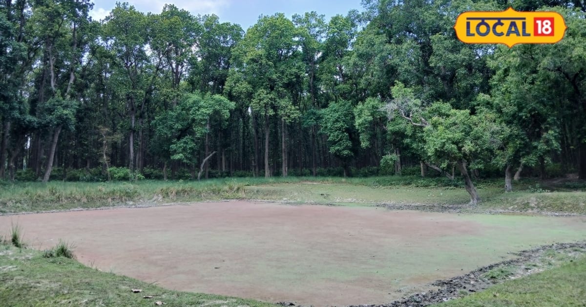 महराजगंज के रामग्राम में छिपा है बौद्ध विरासत का रहस्य, यहां है कभी न सूखने वाला जलकुंड