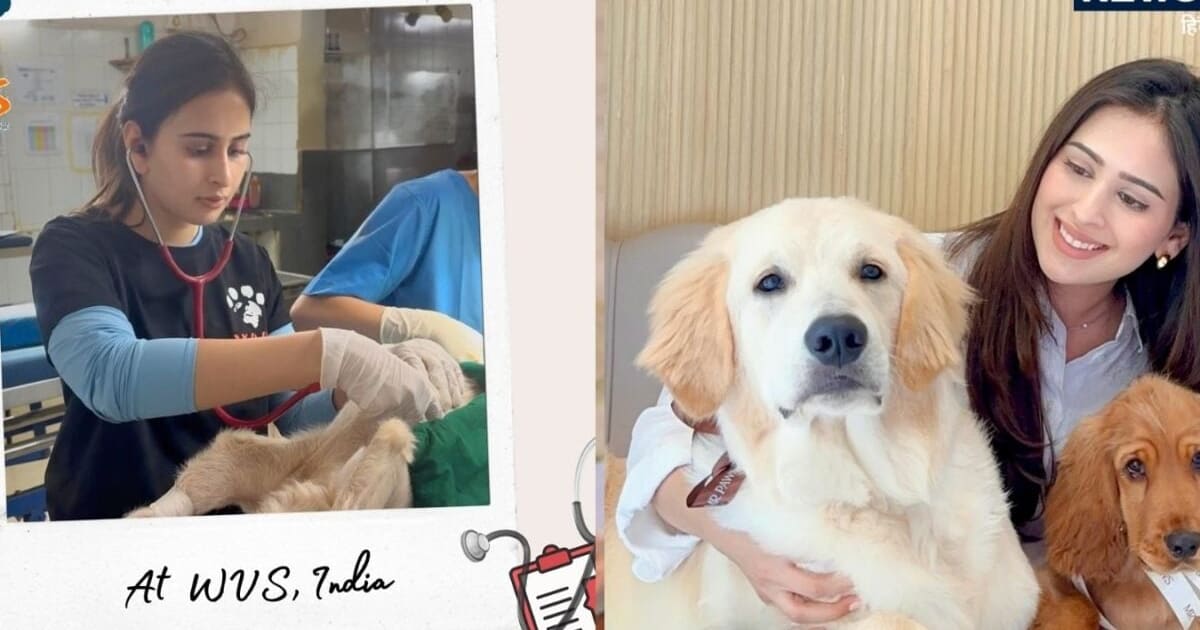 Veterinary Technician Course: 12वीं के बाद वेटरनरी डॉक्टर कैसे बनें? जानिए कोर्स, फीस और सैलरी से जुड़ी हर डिटेल