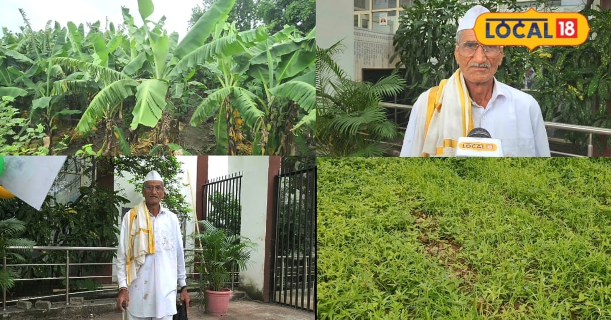 75 साल में भी यह किसान कर रहा कमाल, बड़े-बड़ों को दे रहे मात! 3 एकड़ में इस फसल की खेती और मौज ही मौज