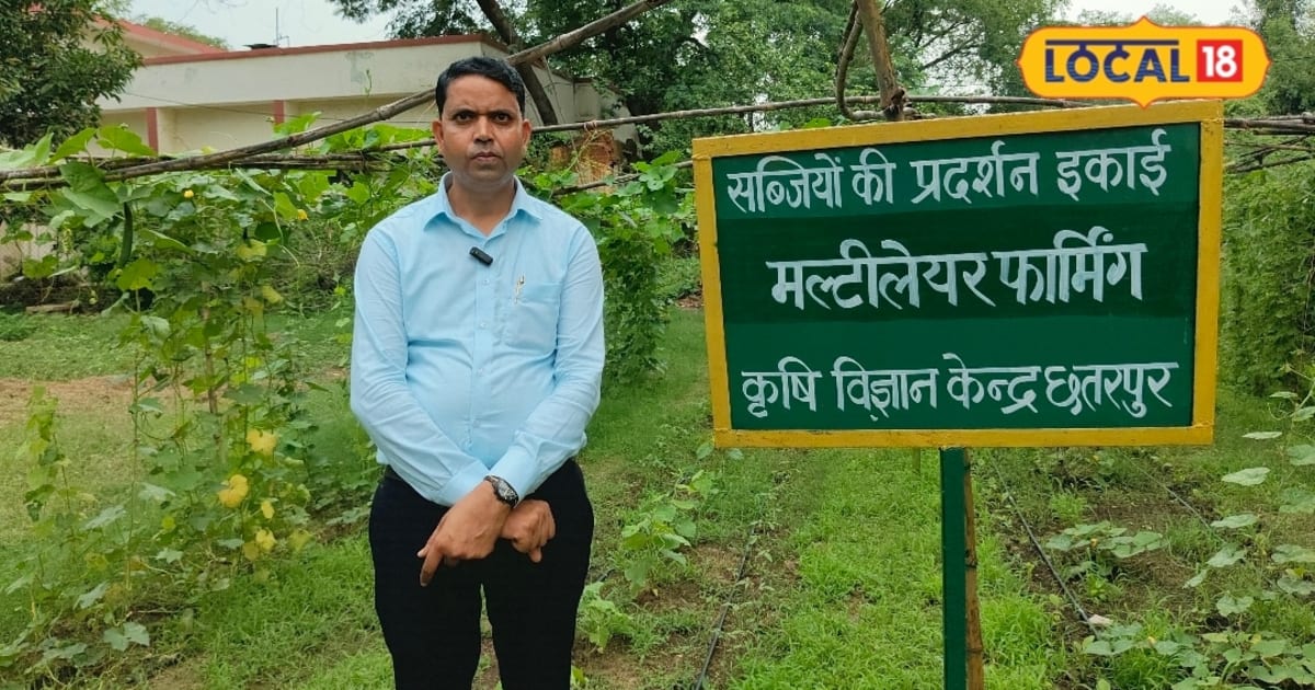 पुराने तरीकों से नहीं होगी कमाई, सब्जी की खेती में अपनाएं ये स्मार्ट तकनीक; ये टिप्स कर देंगे मालामाल