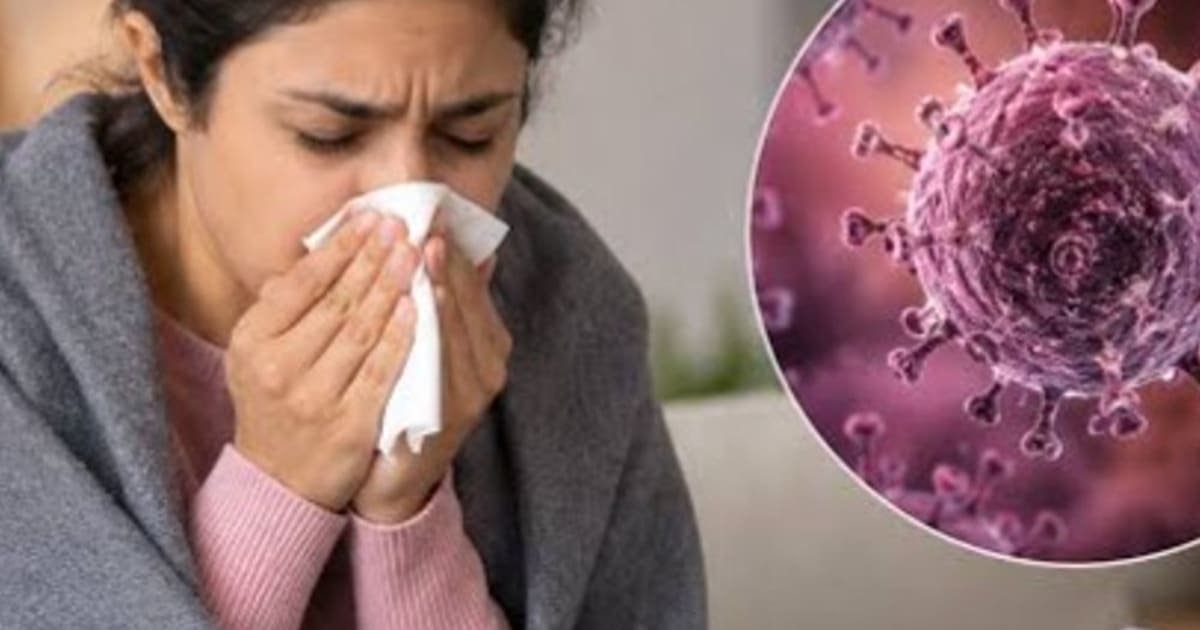 दिल्ली में स्वाइन फ्लू को लेकर स्वास्थ्य मंत्री की बैठक:अब तक 1,349 मामले सामने आ चुके, बदलते मौसम से मामले बढ़े