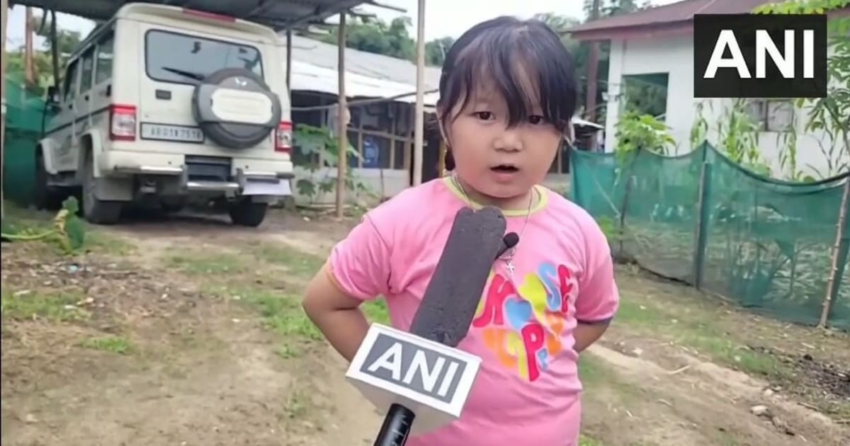 'मुझे चाइनीज बोलते तो गुस्सा आता है', 4 साल की टिंकल की मासूमियत देख ड्रैगन भी पिघल जाए!