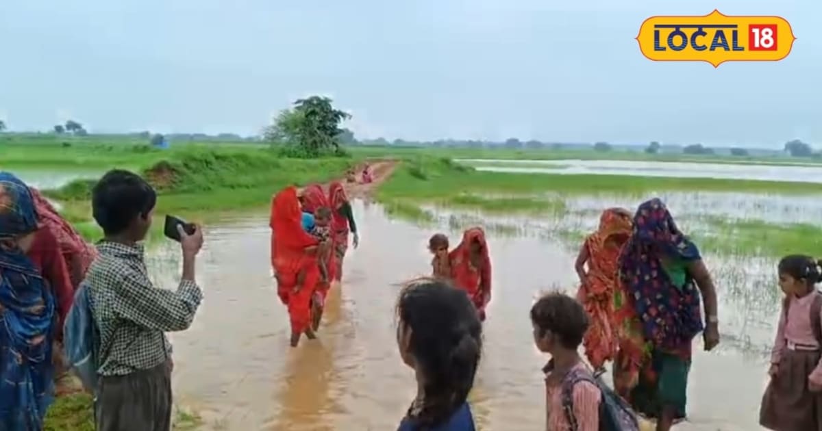 'घुटने तक पानी से स्कूल जाते हैं, कई बार गिरने से भीग जाती हैं किताबें', चित्रकूट के बच्चों का अनोखा प्रदर्शन