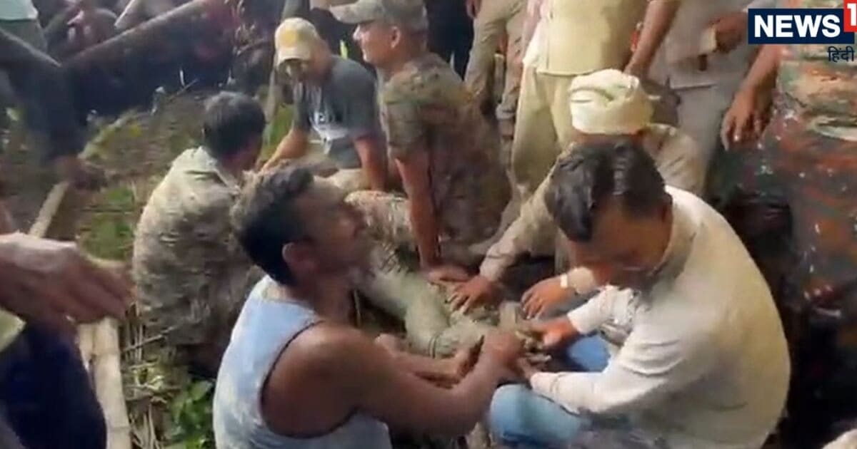 Video: घर में घुसा 10 फीट लंबा मगरमच्छ, काबू करने को बुलानी पड़ी पूरी टीम