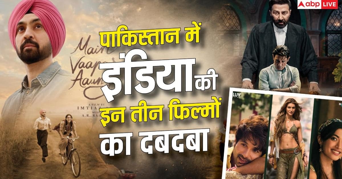 पाकिस्तान में खूब पसंद की जा रही इंडिया की ये 3 फिल्में, नंबर 1 पर दो हफ्ते से है इस रोमांटिक मूवी का कब्जा