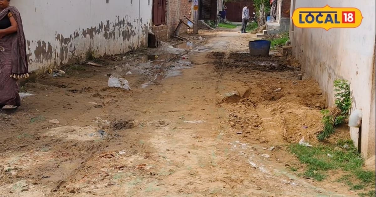 फिरोजादाबाद में नगर निगम वार्डों की गलियों का कराएगा पक्का निर्माण, गंदगी और जलभराव से मिलेगी निजात