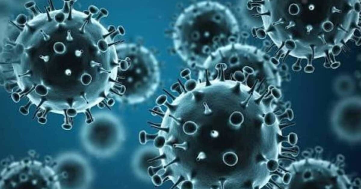 Swine Flu: दिल्ली में 1777 केस, क्या H1N1 का नया स्ट्रेन बरपा रहा कहर? ICMR ने बताई सच्चाई
