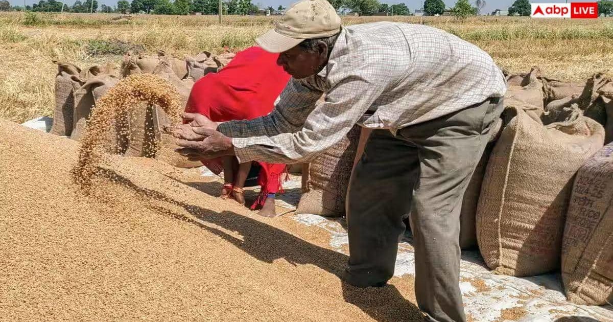 Wheat Export: गेहूं निर्यात पर भारत सरकार का बड़ा फैसला, सालों बाद हटाया बैन