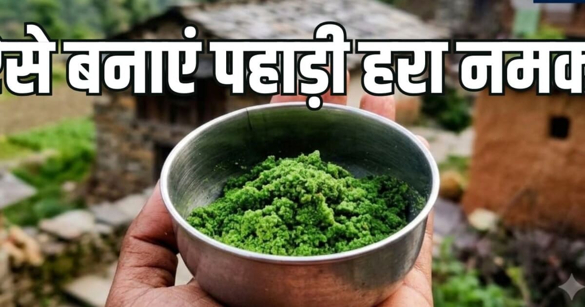 Pahadi Hara Namak Recipe: पहाड़ी हरा नमक के आगे फीके लगेंगे अचार और चटनी, नोट करें इसे बनाने की आसान विधि