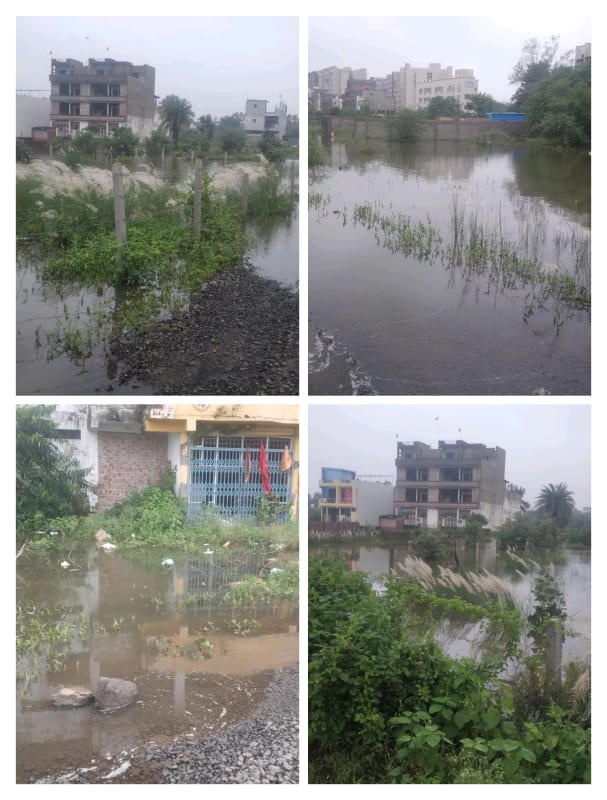 वार्ड 75 में बारिश ने खोली विकास की पोल, सड़कें बनीं तालाब; रहवासी बोले—टैक्स देते हैं, बदले में जलभराव क्यों?