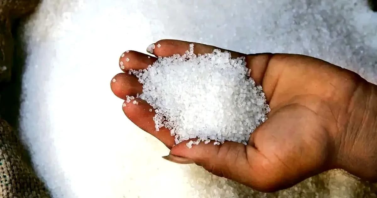 Bhopal News : शक्कर के दाम गिरे, 800 रुपए क्विंटल तक आई कमी