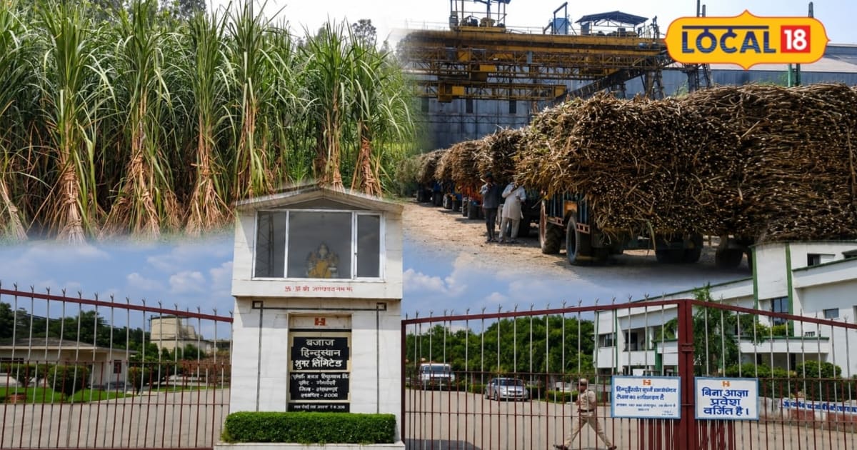 सहारनपुर में चीनी मिलों पर किसानों का 100 करोड़ से अधिक बकाया, 15 दिन में भुगतान के दावे निकले खोखले