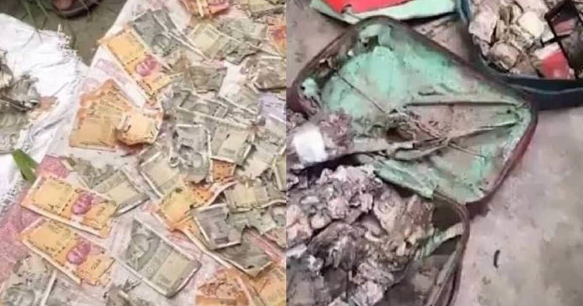 चूहे कुतर जाएं, दीमक लग जाए या फट जाएं नोट, क्या बैंक में जमा करके वापस मिल सकती उनकी कीमत? RBI की गाइडलाइंस क्या कहती हैं?