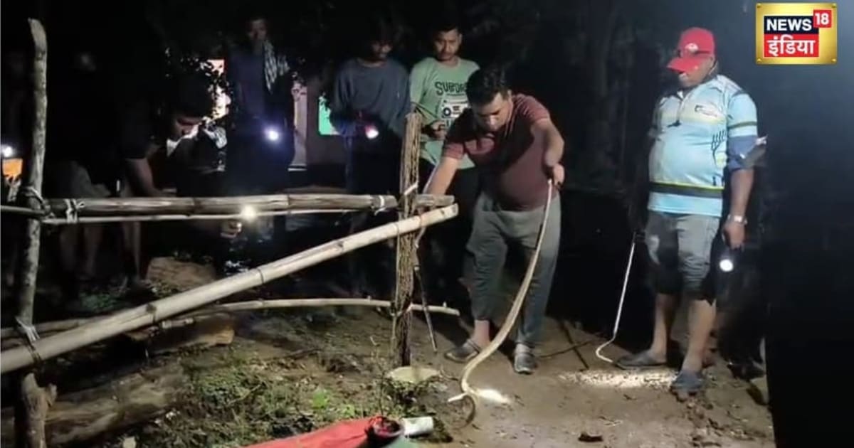 ओडिशा में बाढ़ का पानी घटा तो बढ़ा सांपों का खतरा, घरों में घुसे कोबरा-करैत, रेस्क्यू जारी