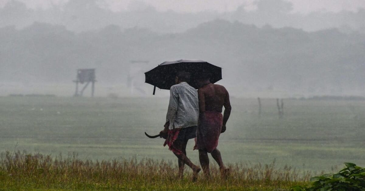 रीवा-सीधी समेत 17 जिलों में भारी बारिश की चेतावनी, जानें मध्य प्रदेश के मौसम का हाल