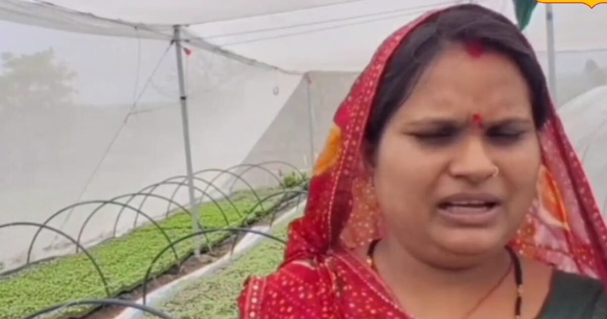 ₹1 का पौधा, लाखों का मुनाफा! सागर की महिला किसान का देसी बिजनेस मॉडल, अब दूर-दूर से आ रहे ऑर्डर