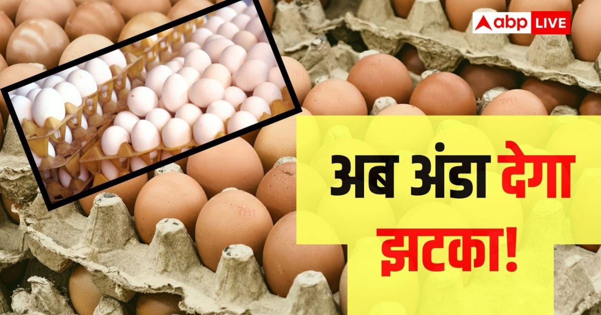 20-25 रुपये में बिकेगा एक अंडा! क्या सच में इस कदर बढ़ जाएंगे रेट?