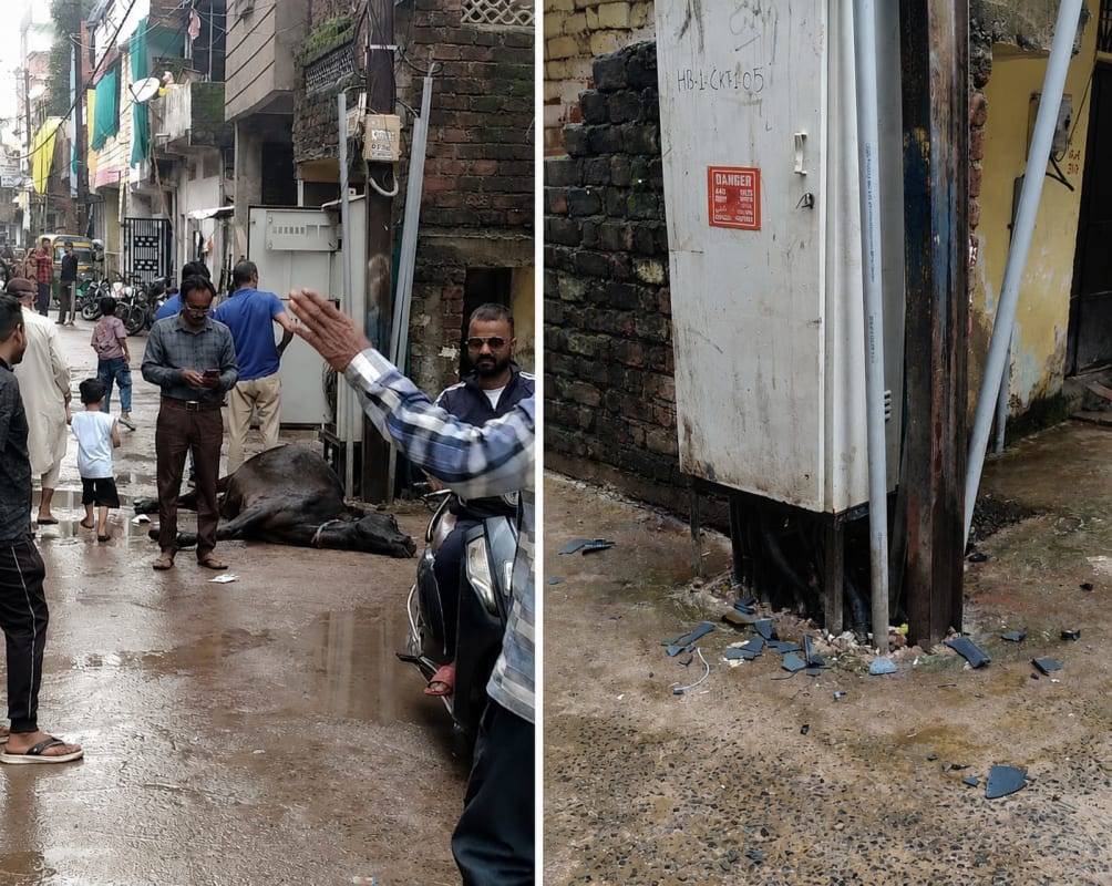बिजली सप्लाई के बॉक्स या मौत का सामान? टीला जमालपुरा में करंट की चपेट में गाय की मौत