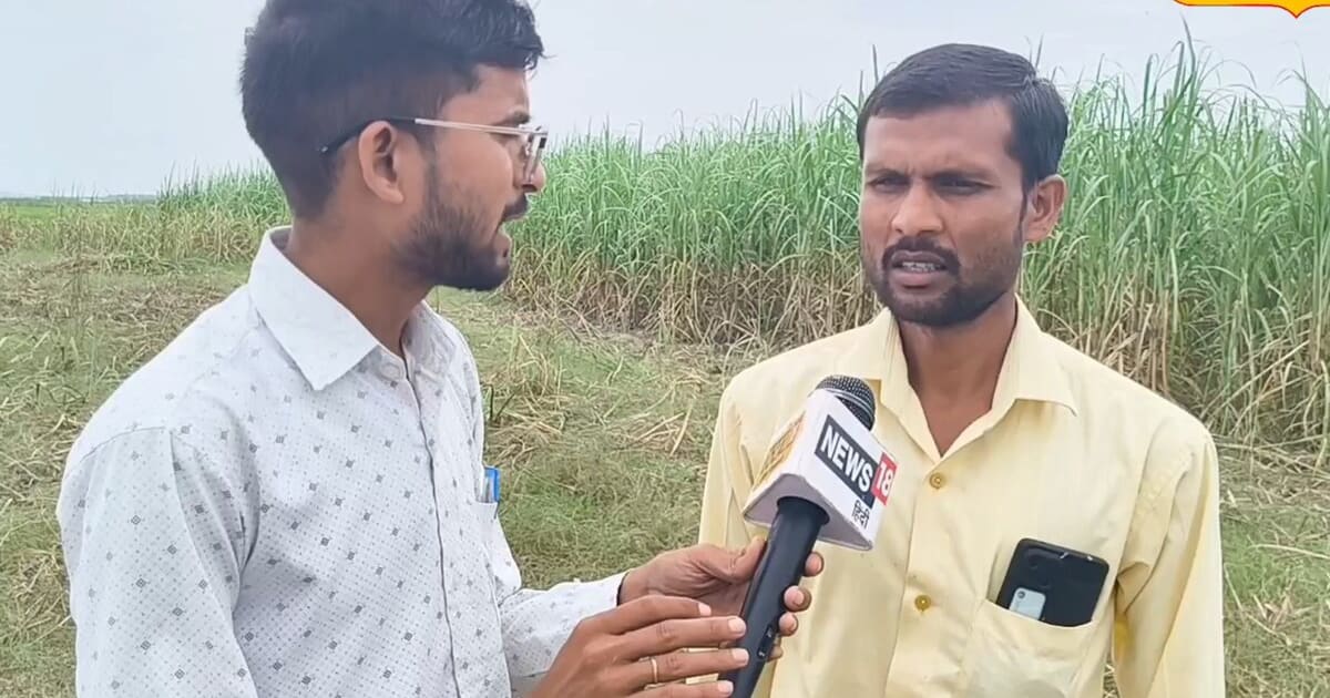 शारदा नदी का कहर, लखीमपुर खीरी में कटान से किसानों की फसल बर्बाद, कर्ज लेकर लगाई थी फसल