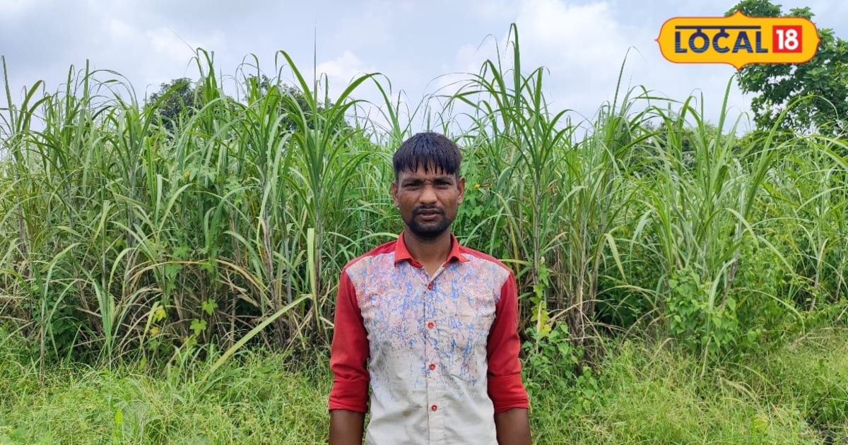 लागत 40 हजार, कमाई 1 लाख! बोकारो के किसान त्रिलोचन से सीखें गन्ने की खेती, कमाई का निकाला नया रास्ता