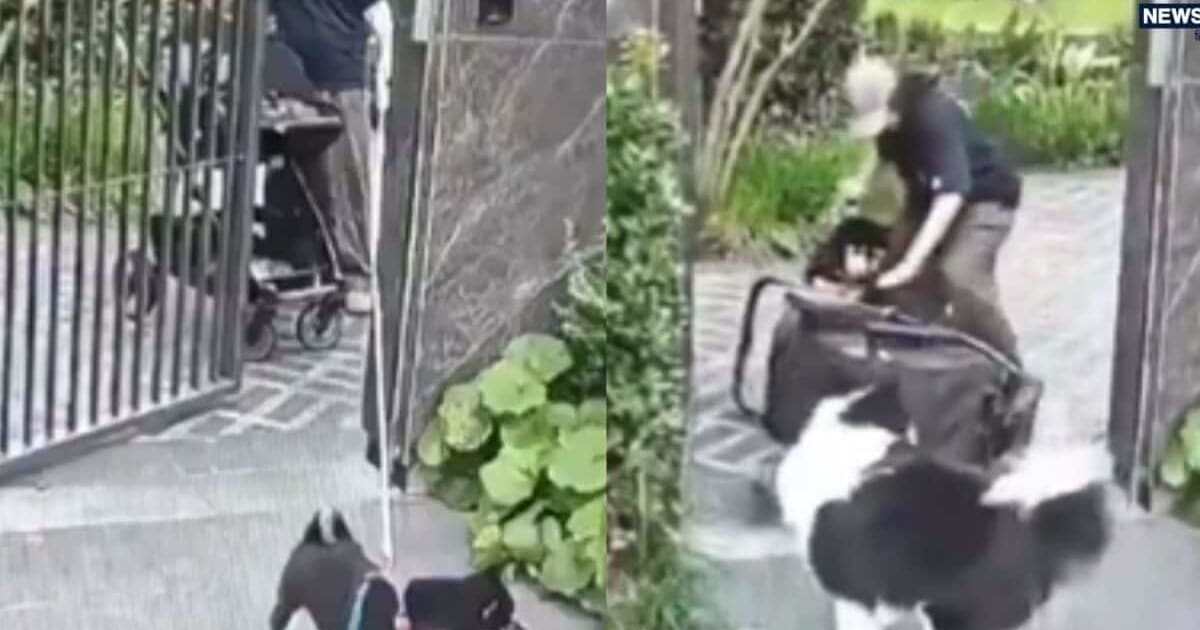 बच्चा या कुत्ता? एक पल में मां ने लिया ऐसा फैसला, VIDEO देख सोशल मीडिया पर छिड़ी बहस