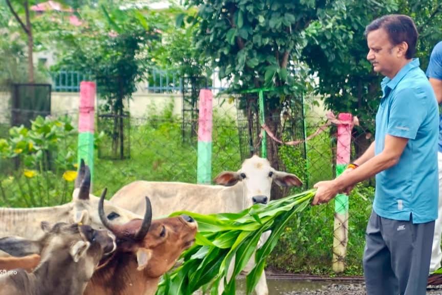 गौसेवा के साथ प्राकृतिक खेती को बढ़ावा देने की पहल, उप मुख्यमंत्री राजेंद्र शुक्ल ने बसामन मामा गौवंश वन्य विहार का किया निरीक्षण
