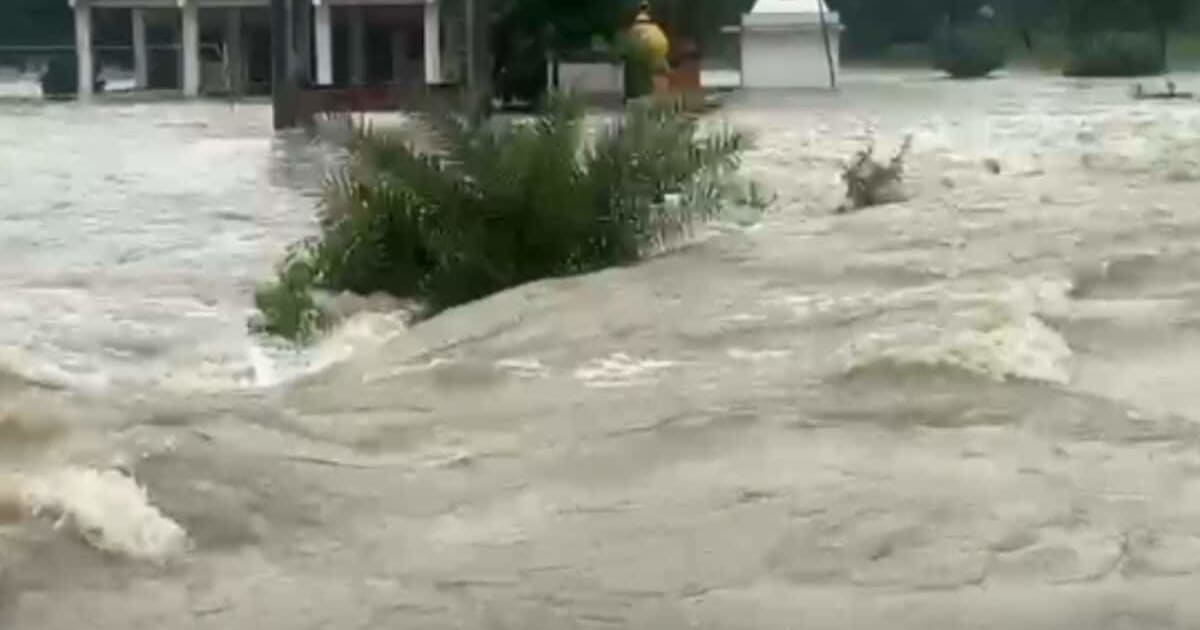 Satna Flood: घरों में पानी.. डूबे वाहन, सड़कों पर तेज धार! सतना में जोरदार बारिश से नेपाल जैसे हालात!