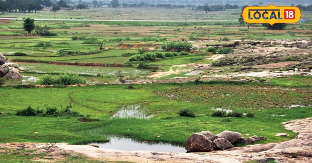 पंडित दीनदयाल उपाध्याय किसान समृद्धि योजना से किसान बंजर जमीन को बना सकते हैं उपजाऊ, जानें