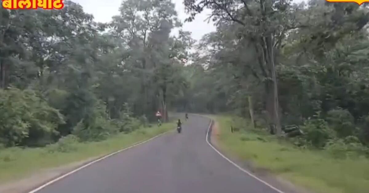3 घंटे का सफर अब 2 घंटे से भी कम! बालाघाट-सिवनी फोरलेन को मंजूरी, 3458 करोड़ से बदलेगी सड़क की तस्वीर