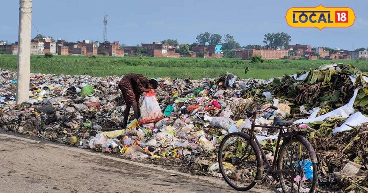 Chandauli News: सैयदराजा NH-19 पर कूड़े का अंबार बना मुसीबत, राहगीर नाक बंद कर गुजरने को मजबूर