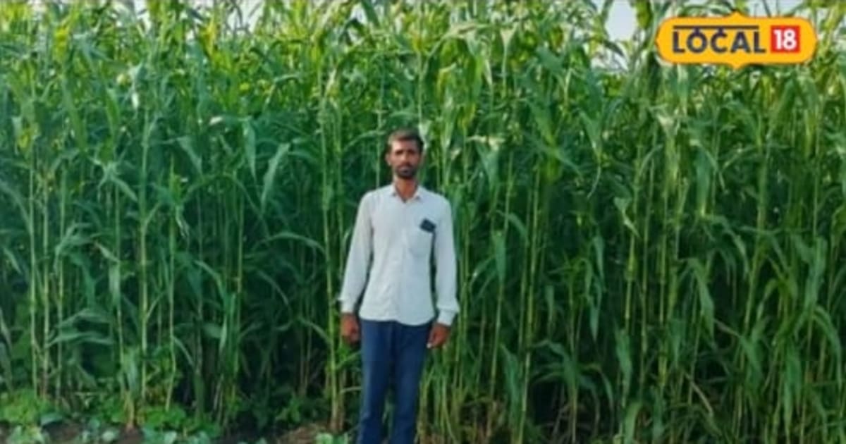 वैज्ञानिक खेती ने बदल दी जिंदगी, नर्सरी, सब्जियों और डेयरी से लाखों कमा रहा किसान