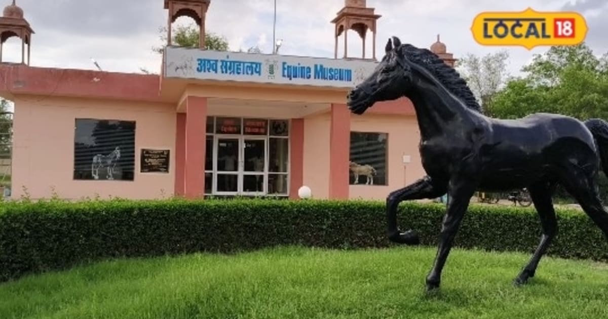 बीकानेर का अश्व संग्रहालय है घोड़ों की दुनिया का गेटवे, शौर्य गाथाओं से नस्लों तक जानें अनोखा इतिहास