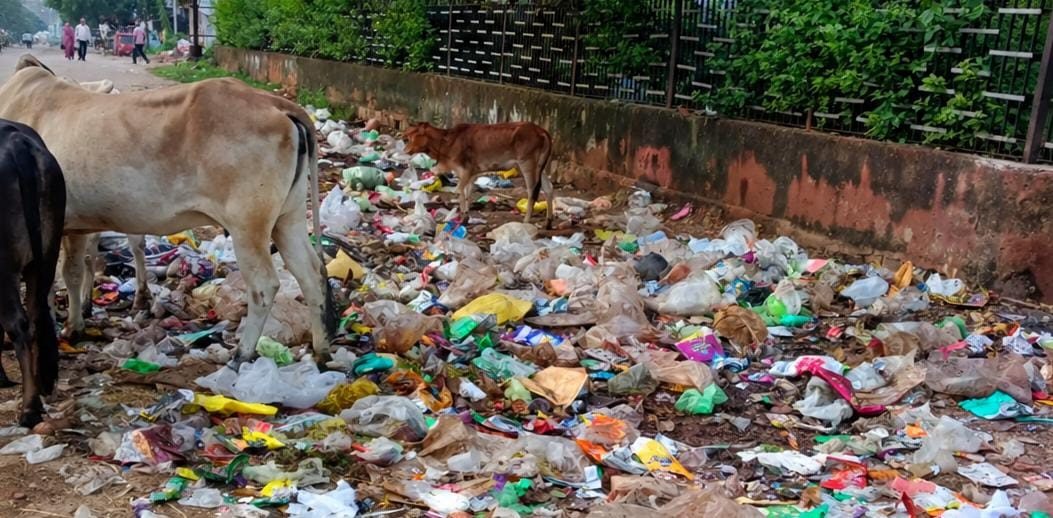 शिवपुरी में सफाईकर्मियों की हड़ताल का आज 7 वां दिनः जगह-जगह कचरे के ढेर लगे; नपा का दावा- 11 में 8 मांगें मानीं