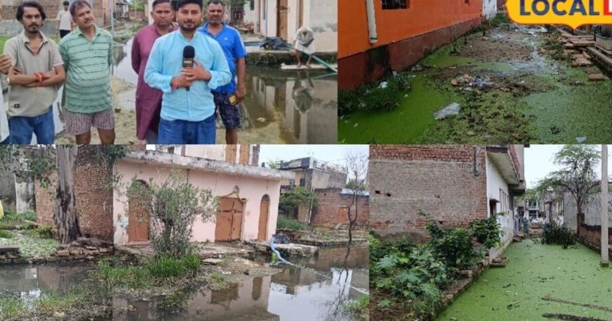 Ground Report: मानसरोवर कॉलोनी में जलभराव का जाल, सांपों के डर से सहमे लोग और बच्चों की पढ़ाई प्रभावित