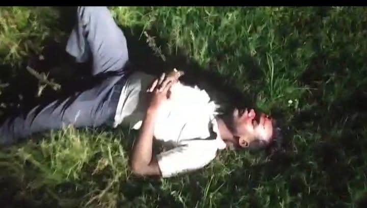 शिवपुरी में टाइगर समझकर गिरा बाइक सवारः माधव टाइगर रिजर्व मार्ग पर हादसा, वन विभाग बोला- पगमार्क बाघ के नहीं