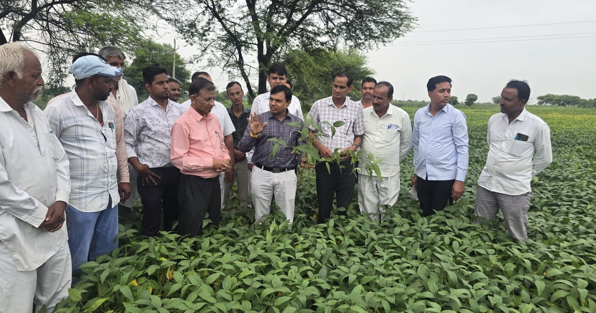 उज्जैन- जिला स्तरीय डायग्नोस्टिक दल ने खेतों का निरीक्षण कर लिया जायजा
