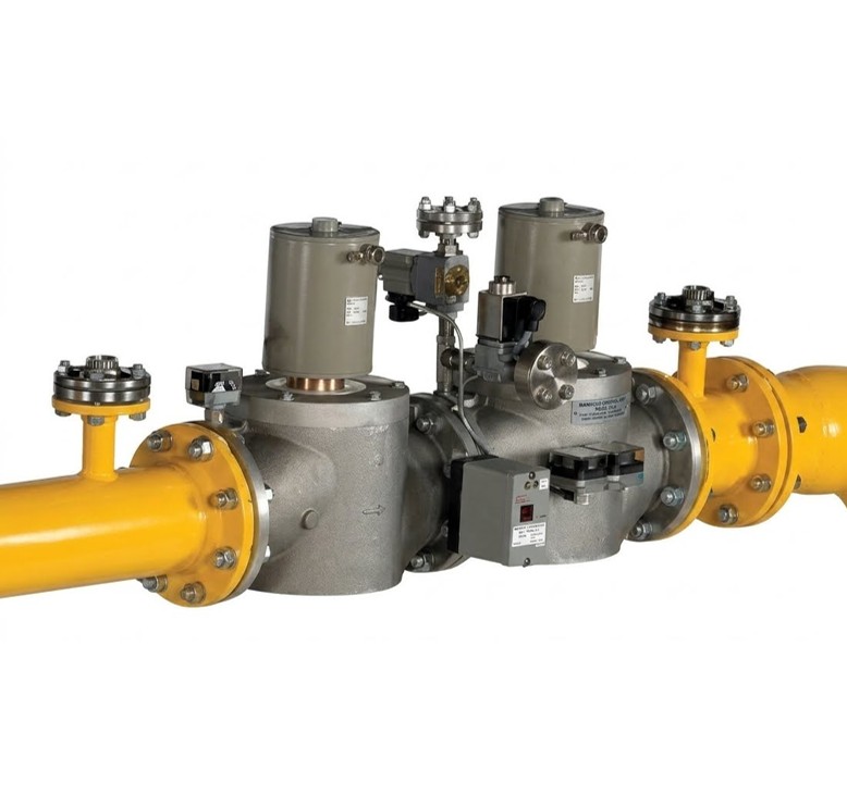 TREN DE GAS PARA QUEMADOR DE 600 A 1200 BHP EN 220-230V