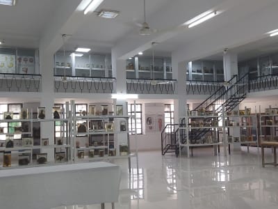 College Campus Image