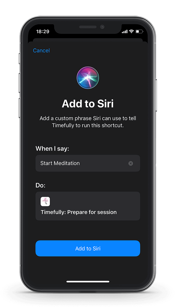 Use Timefully with Apple's iOS Shortcuts.