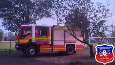 Nuestra unidad B-2 trabajó en rescate de felino en árbol de aproximadamente 10 mts Sector Unión Chilena a cargo Teniente 2 Gonzalo Meneses