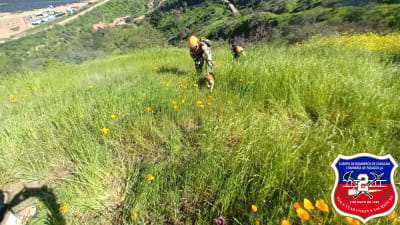 Nuestra unidad UT-2 trabajó en rescate de dos caninos Sector Cuesta Barriga Ruta G-68 Km 21