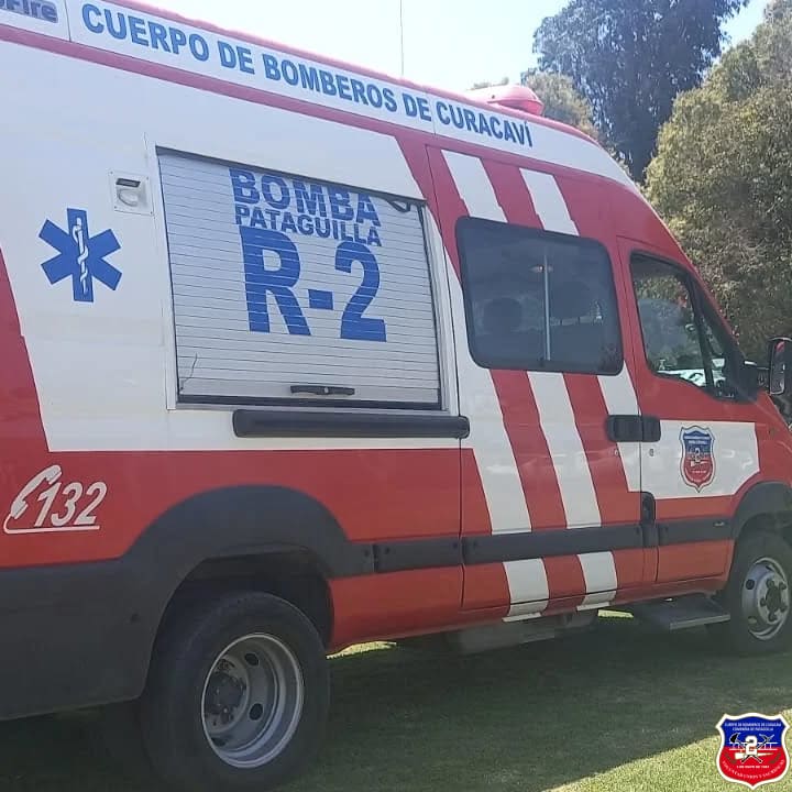 Imagen 2